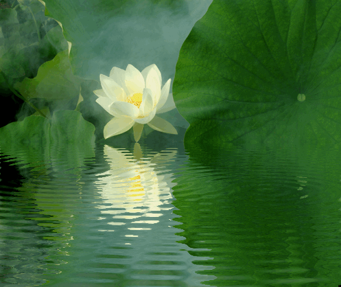 sacred massage lotus sedona healing massage lotus